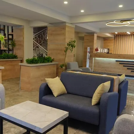Hotell Afsin 3*